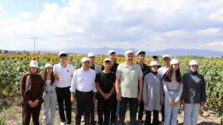 Erzurum'da Genç Çiftçiler İlk Buğday Hasadını Yaptı