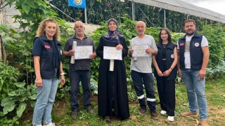 Giresun'da 'EKÜY' Projesiyle Güvenli Domates Üretimi