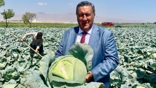 Lahana Üreticisinden Fiyat İsyanı: "Asıl Kâr Raflarda!"