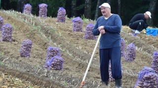 Lukaşenko, Şanghay Zirvesi için Yerli Patates Hediye Edecek