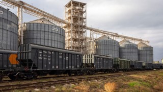 Rus Buğdayının İhracat Fiyatı Düşüşte