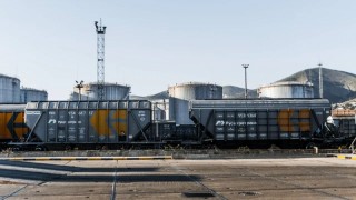 Rus Buğdayının İhracat Fiyatı Yükselişte: Ton Başına 242 Dolara Ulaştı