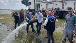 Samsun'daki İç Sulara 2 Milyon 341 Bin Adet Yavru Sazan Bırakıldı