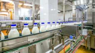 Ticari Süt İşletmelerinde Süt Üretimi Artıyor