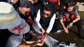 Tunceli Sularına 850 Bin Sazan Yavrusu Bırakıldı