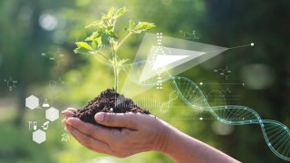 Türkiye’de Bitki Islahçı Haklarında Lider Firmalar Açıklandı