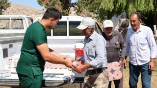 Antalya'da Hayvancılığa Can Suyu: Büyükşehir Belediyesi'nden Çobanlara Yenilikçi Destek Projesi