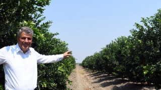 CHP’li Barut: Tarımsal destekler üretici lehine revize edilmeli