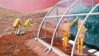 Elon Musk, Mars’a Bitki Deneyi için Serayı Gönderecek