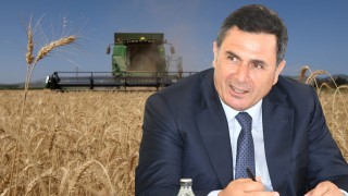 Hububat Sektörü İhracatı Değer Bazında Büyüdü