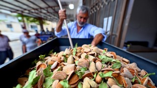 Mersin Büyükşehir’den Badem Üreticilerine Makine Desteği