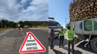 Tarım ve Orman Bakanlığı’ndan orman ürünleri taşımacılığında ATS zorunluluğu
