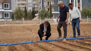Adıyaman Belediyesi 10 Dönümlük Alanda Sebze Ekimi Başlattı