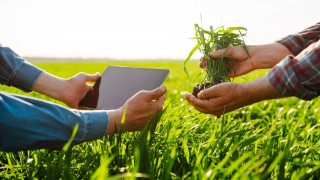 Ediz Ün: TÜİK verileri tarımda dış ticaret açığının büyüdüğünü gösteriyor