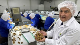 Ege İhracatçı Birlikleri: Türkiye kuru incir ihracatında 369 milyon dolarla rekor kırdı