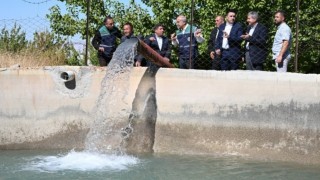 Malatya Büyükşehir kırsalda sulama altyapısını yeniledi