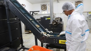 Muğla Büyükşehir, sokak hayvanları için 42 ton mama üretti