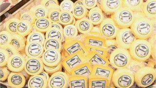 Ordu Büyükşehir’den süt üreticilerine yerli marka desteği