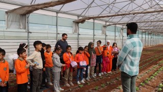 Şanlıurfa Büyükşehir’den öğrencilere “Doğaya Bir Adım” projesi