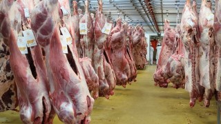 Avrupa’nın 100 yıllık et tedarikçisi iflas etti
