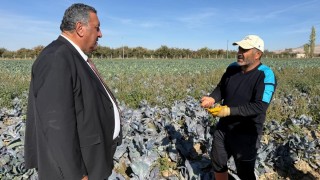 CHP’li Gürer: TARSİM sistemi çiftçinin yararına işlemiyor