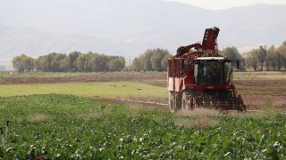 Cumhurbaşkanı Erdoğan 2026/2027 şeker kotalarını açıkladı