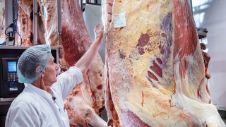 Dana Kesim Fiyatı Bir Haftada 50 TL Arttı