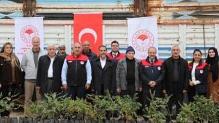 Elazığ’da sumak fidanları çiftçilere teslim edildi