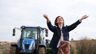 Eskişehir Büyükşehir, Kavılca Buğdayını 5 bin yıl sonra yeniden ekti