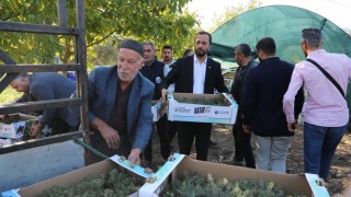 Hatay Büyükşehir, Yayladağı’nda aromatik bitki fideleri dağıttı