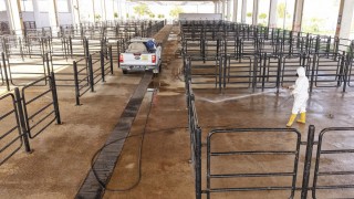 Kahramanmaraş Büyükşehir’den Hayvan Pazarı’nda ilaçlama