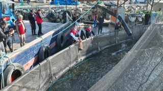 Hirfanlı’dan Sinop’a Türk Somonu Sevkiyatı