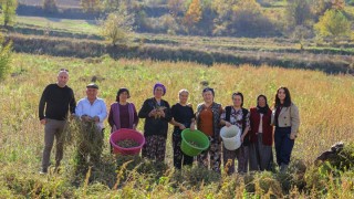 Samsun BŞB'den Sözleşmeli Tarım Modeli: Üreticiye Alım Garantisi