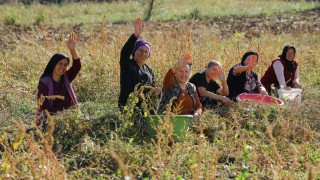 Samsun Büyükşehir Belediyesi 2025’te üreticiye kapsamlı tarımsal destek sağladı