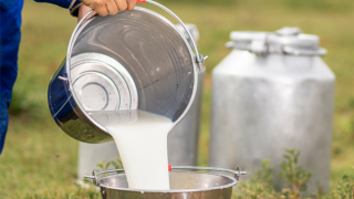 Tarım Bakanlığı 1,52 milyar TL tarımsal destek ödemesi yapacak