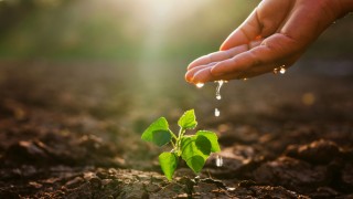 TEMA Vakfı: Toprak Kaybı 2050’de Yüzde 90’a Ulaşabilir