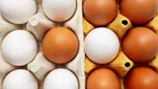 Yumurta Fiyatları Uçmaya Devam Edecek