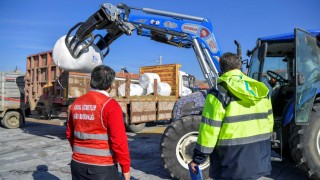 ABB, Ankara’da 3 milyon TL’yi aşan mısır silajı dağıtımını sürdürüyor