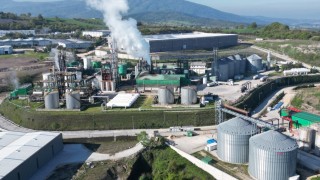 Aydınoğlu: Benzinde biyoetanol harmanı en az %5 olmalı