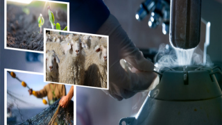 Bakan Yumaklı: 1,1 milyar liralık destek ödemesi bugün hesaplarda