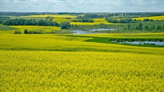 Bakan Yumaklı: 1,7 milyar lira tarımsal destek bugün ödenecek
