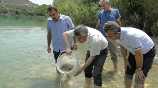 Bakan Yumaklı: 2025’te Sulara 83 Milyon Yavru Balık Salındı