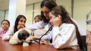 Bursa Büyükşehir çocuklara veterinerliği tanıtan etkinlik yaptı