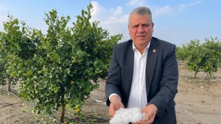 CHP’li Barut: Adana’da dolu tarımı vurdu, acil destek çağrısı