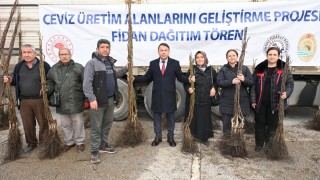 Denizli İl Tarım ve Orman Müdürlüğü 30 Bin Ceviz Fidanı Dağıttı