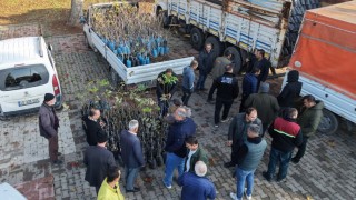 Kahramanmaraş Büyükşehir Belediyesi üreticilere fidan desteği sağladı
