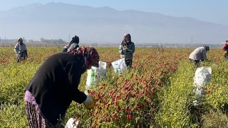 Kahramanmaraş Tarım Müdürlüğü “Toprak Yaşatır” Projesini Başlattı