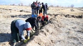 Kayseri İl Tarım ve Orman Müdürlüğü Develi’de Tuz Çalısı Dikti