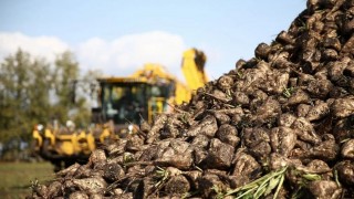 Kayseri Şeker, Çiftçiye 201 Milyon TL Söküm Avansı Ödedi