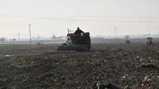 Manisa Büyükşehir’den Akhisar Sarıçalı’da yem tohumu desteği